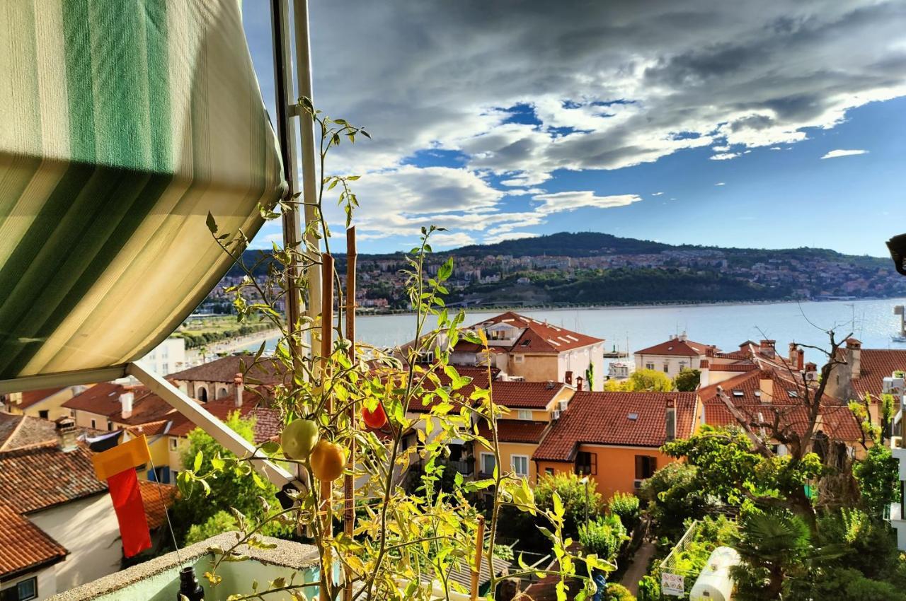 Maestral Apartamento Koper Exterior foto
